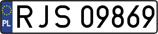 RJS09869