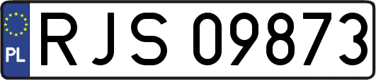 RJS09873
