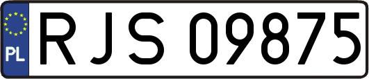 RJS09875