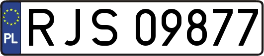 RJS09877