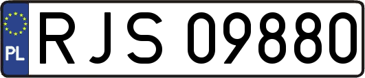 RJS09880