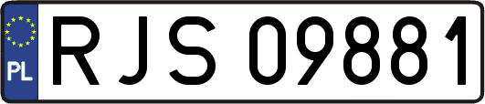 RJS09881