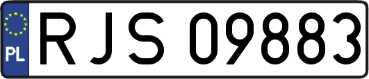 RJS09883