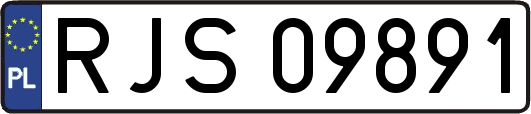 RJS09891