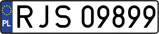 RJS09899