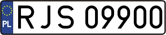 RJS09900