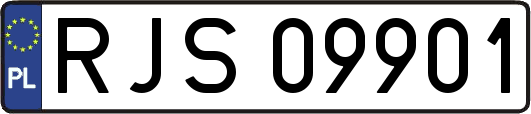 RJS09901