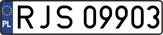 RJS09903