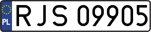 RJS09905