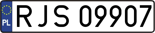 RJS09907