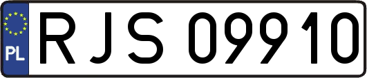 RJS09910