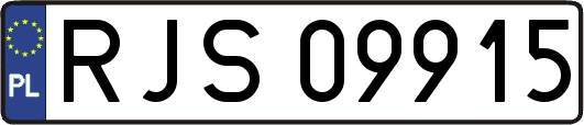 RJS09915