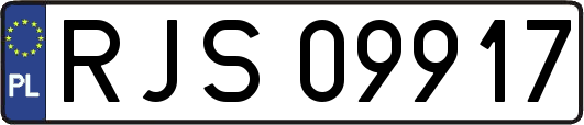 RJS09917