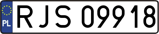 RJS09918