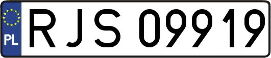 RJS09919