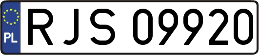 RJS09920