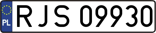 RJS09930