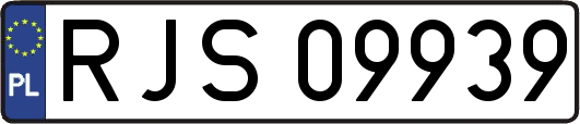 RJS09939