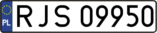 RJS09950