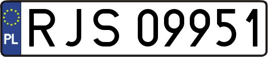 RJS09951