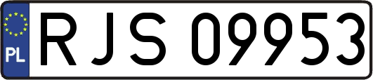 RJS09953