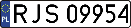 RJS09954