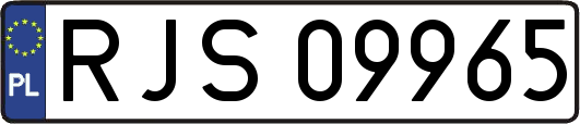 RJS09965