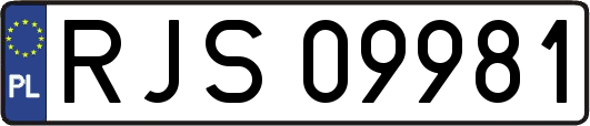 RJS09981