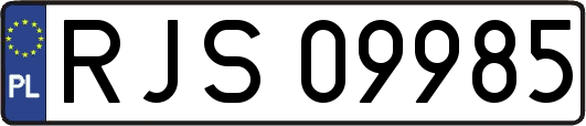 RJS09985