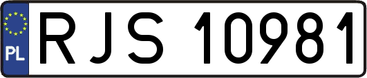 RJS10981