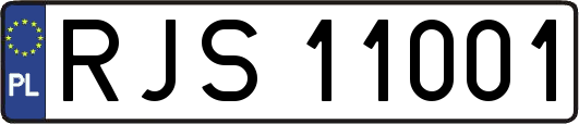 RJS11001