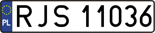 RJS11036