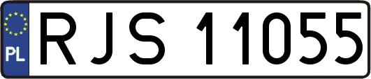 RJS11055