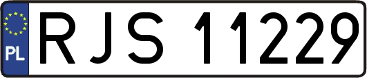 RJS11229