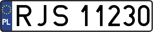 RJS11230