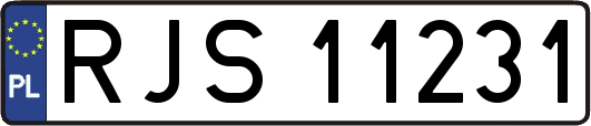 RJS11231