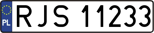 RJS11233