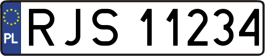 RJS11234