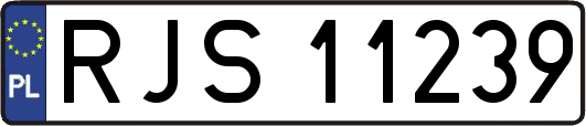 RJS11239
