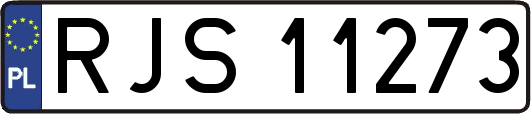 RJS11273