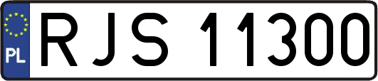 RJS11300
