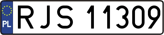 RJS11309