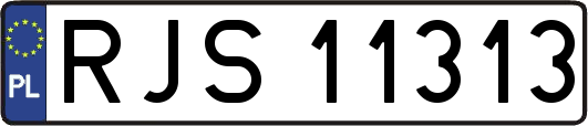 RJS11313