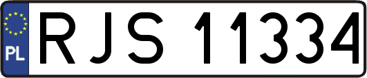 RJS11334