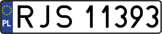 RJS11393