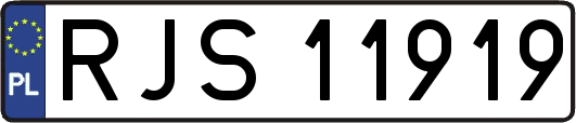 RJS11919