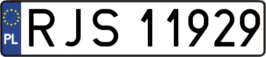 RJS11929