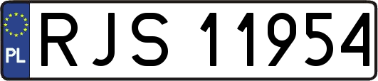 RJS11954
