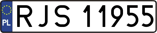 RJS11955