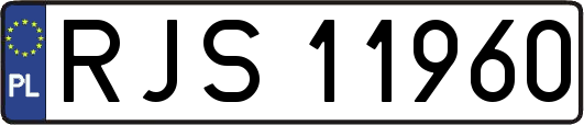 RJS11960